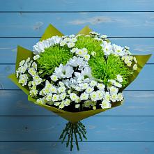 Букет скромность  в Чое Букет цветов из:  Хризантемы в Чое